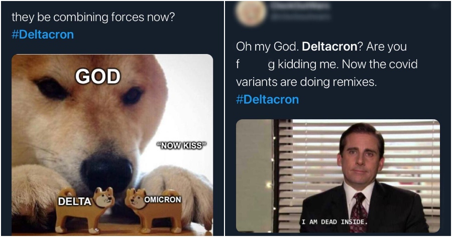 ft image deltacron memes