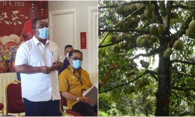 ft image durian cause water shortage