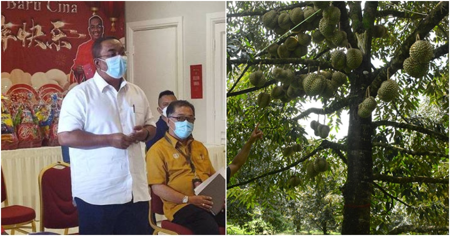 ft image durian cause water shortage