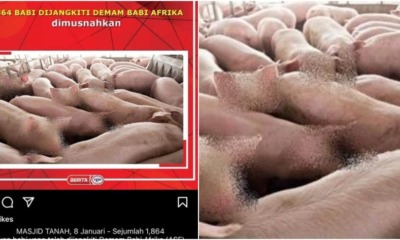 ft image pic censored post