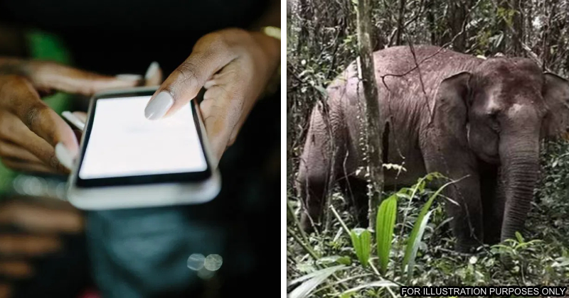 never share videos wildlife sightings