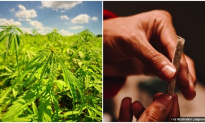 thailand allows limited recreational use