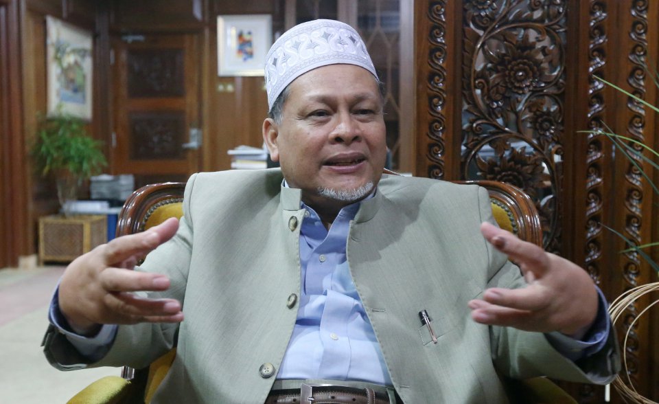 Tigers 8