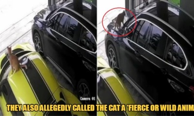 My Post 2022 02 11T134804.489