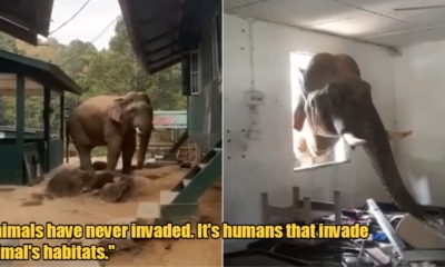 My Post 2022 02 15T101836.260