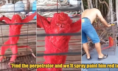 My Post 2022 02 24T164811.481