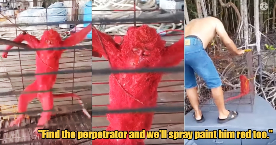 My Post 2022 02 24T164811.481