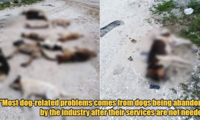 My Post 2022 02 28T172932.439 1