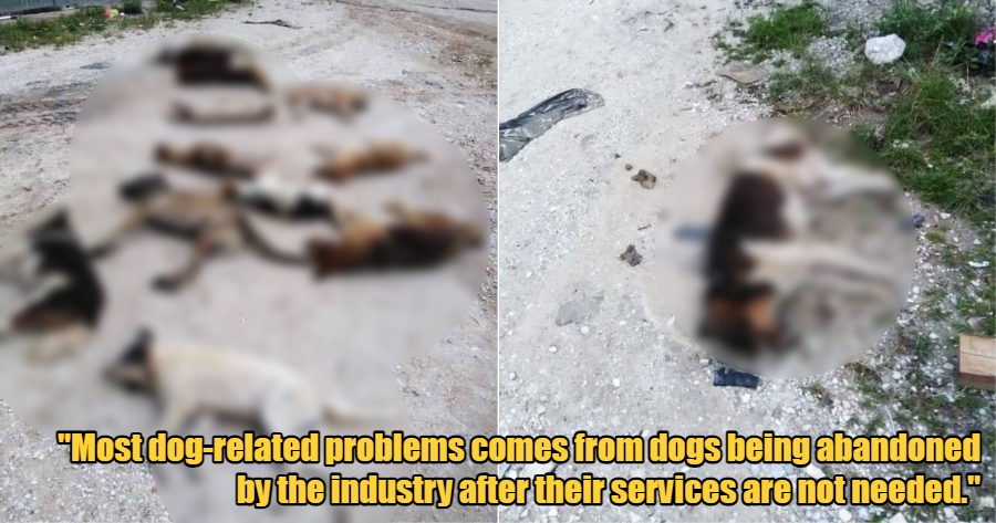 My Post 2022 02 28T172932.439 1