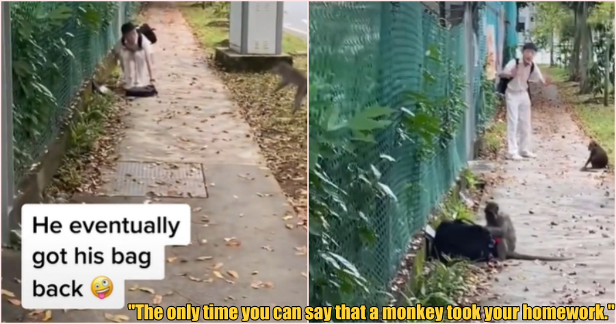 ft monkey