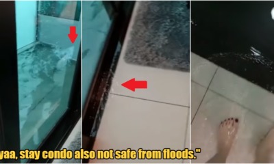 My Post 2022 03 08T153525.146