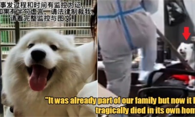 My Post 2022 03 10T115001.699