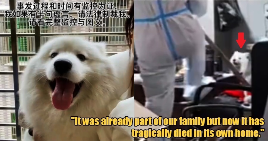 My Post 2022 03 10T115001.699