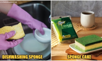 sponge cake comparison