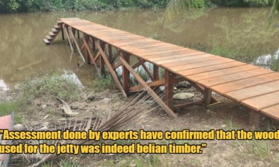 277759915 4944292109011462 2637534618526895885 n 2