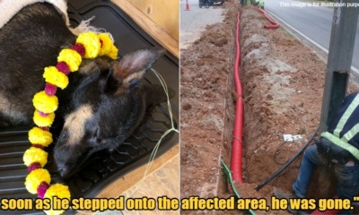 My Post 2022 04 07T135030.480