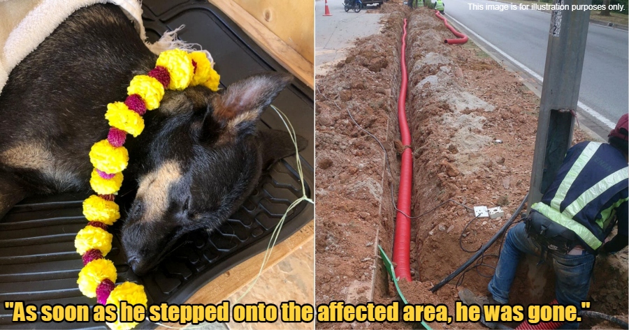 My Post 2022 04 07T135030.480