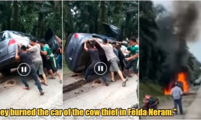 My Post 2022 04 13T100027.579