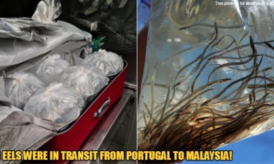 My Post 2022 04 18T155539.748