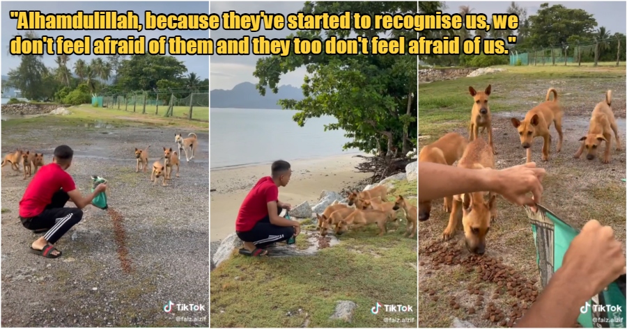 My Post 2022 04 21T144502.428 1