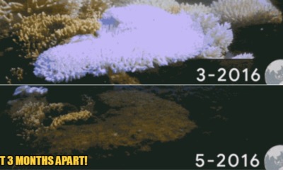 My Post 2022 04 22T152957.017