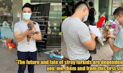 My Post 2022 04 27T140734.527