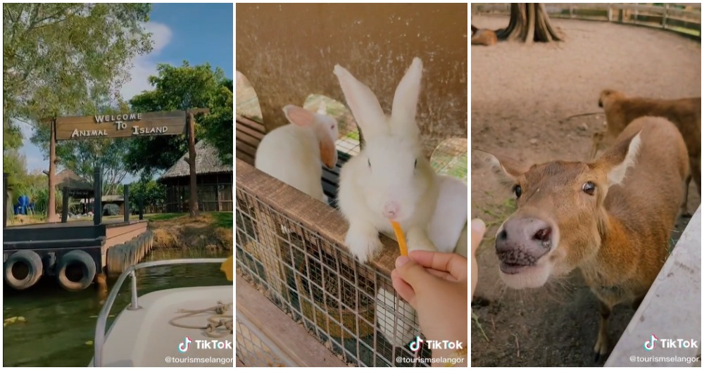 carey island animal island