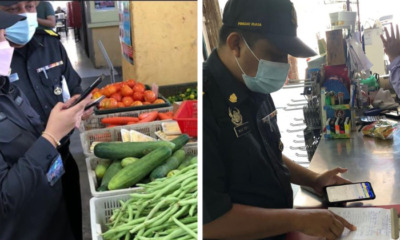 feat image kpdnhep vegies