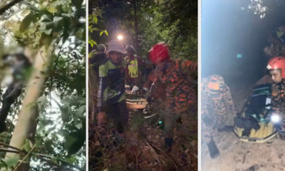 feat image paragliding incident