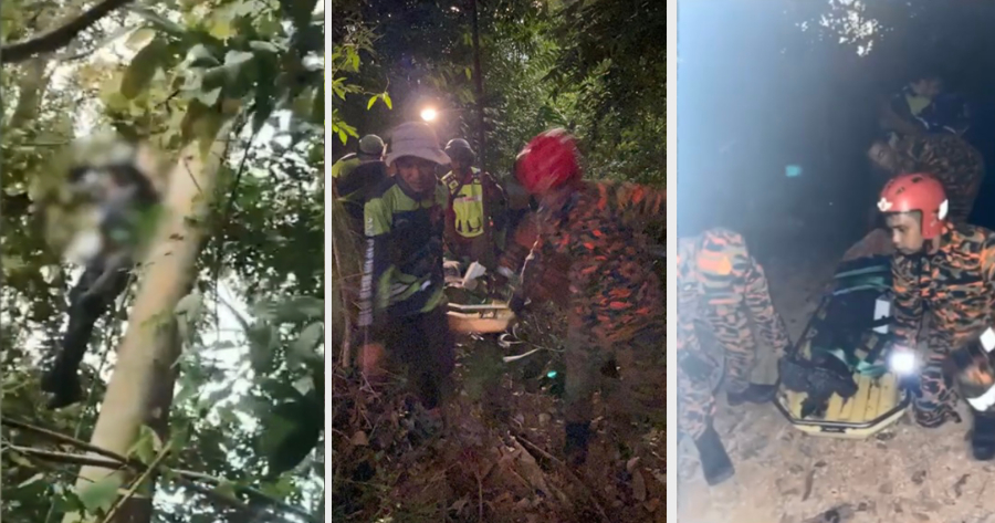 feat image paragliding incident