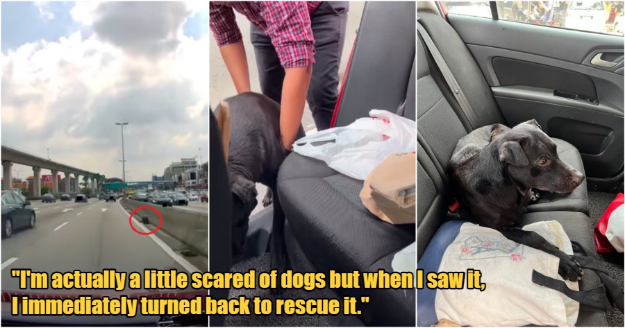 My Post 2022 05 20T111536.332