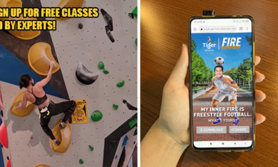 Tiger Crystalr Feat Image 4 1