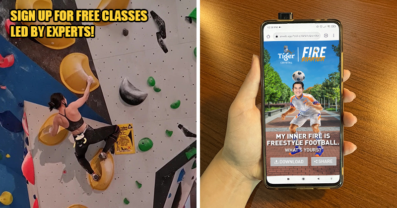 Tiger Crystalr Feat Image 4 1