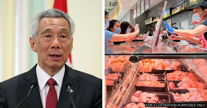 feat image pm lee singapore chicken export ban msia