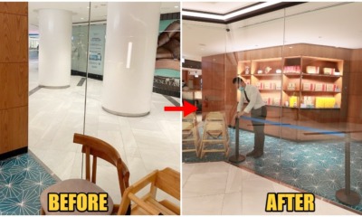 walk into glass wall