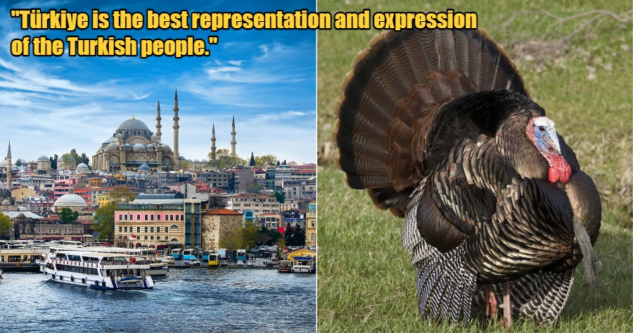 My Post 2022 06 03T154145.771