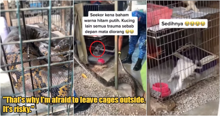 My Post 2022 06 28T174425.503