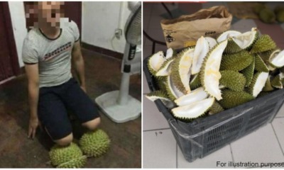 durian shells shopee