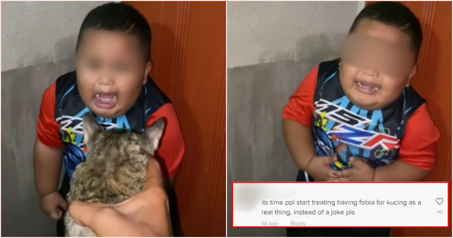 ft cat