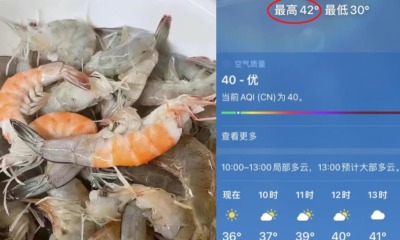 21BFE13B 0BA8 49C6 85BE 3E27700C24D0