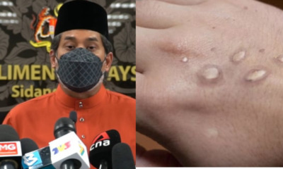 288E56CB 098B 46A1 B7A3 FA7452DDCBDE