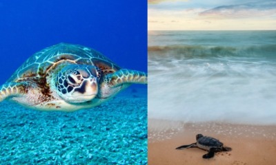 2D753E82 3712 413B 8BF2 8E17C144A8EF