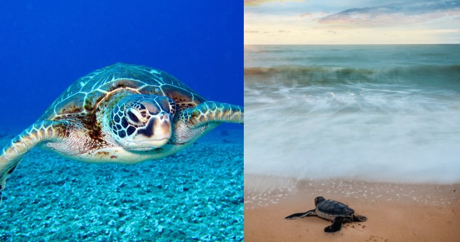 2D753E82 3712 413B 8BF2 8E17C144A8EF