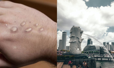 2DE38142 A33F 4A18 8C4B 917526027A12