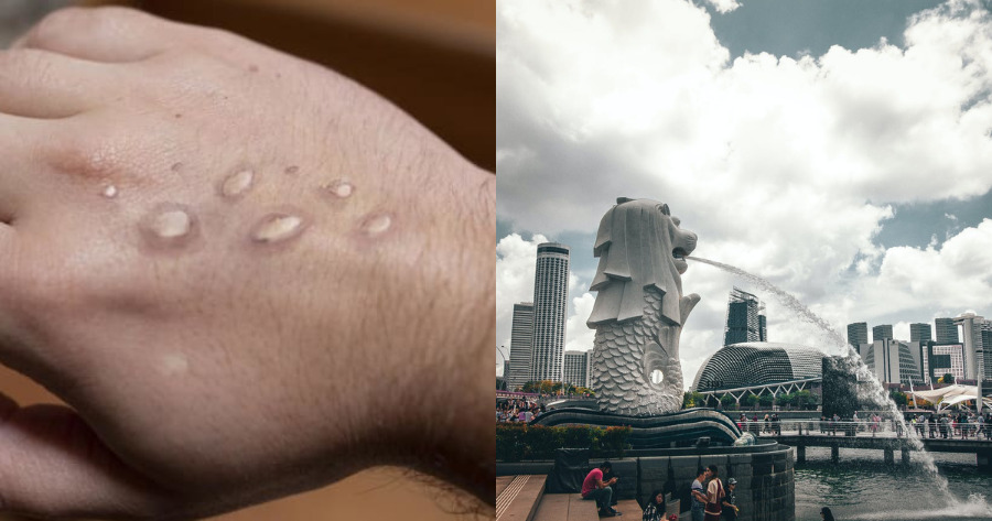 2DE38142 A33F 4A18 8C4B 917526027A12