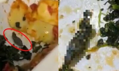 350EB0CA 19C1 4DA8 8DA2 1103B77D5979