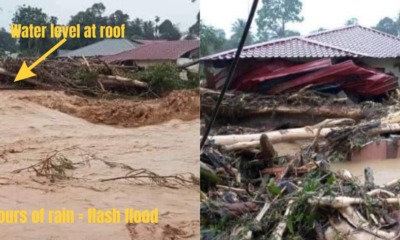 AA033CBA 2B52 4101 83C3 632D7632E872