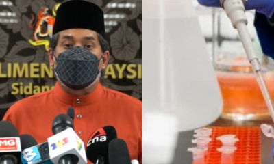 DC33B79F 0BBA 4AD4 8575 A60D167D5A13 2