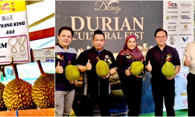 Durian collage VIPs