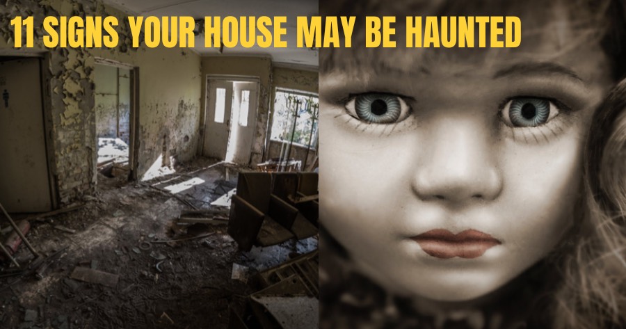 E71FEF6F BF8F 4F91 AB24 B19C03C19E2C